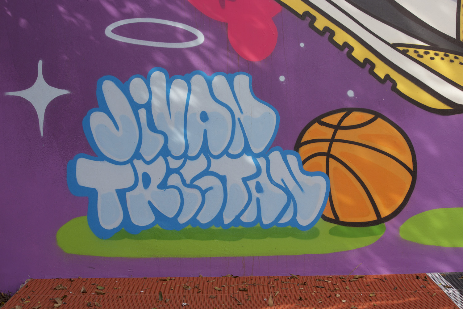 Basketball Court Mural - LA